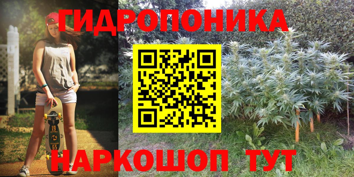 Шишки марихуана марихуана Боровичи